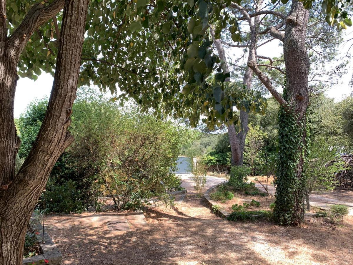 Villa Mazet Proche Golf Nîmes Exterior foto