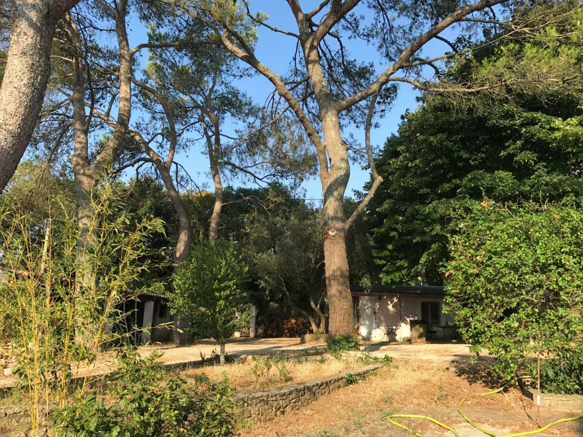 Villa Mazet Proche Golf Nîmes Exterior foto